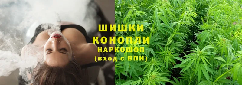 продажа наркотиков  Задонск  Бошки Шишки OG Kush 